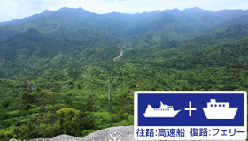 【屋久島】<羽田発>【9・10月ファイナルセール】売切御免の早い者勝ち　往路：高速船/復路：フェリーｄｅスペシャル価格！世界自然遺産 屋久島スペシャル　1泊3日-1泊5日（食事無）