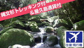 【屋久島】9月ＳＰ　鹿児島発着　高速船で行く屋久島　白谷＆太鼓岩トレッキング　選べる宿