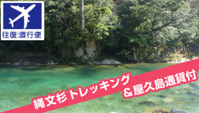 【屋久島】9月ＳＰ　鹿児島発着　高速船で行く屋久島　白谷＆太鼓岩トレッキング　選べる宿