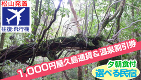 【屋久島】9月SP　鹿児島発着　高速船で行く　鹿児島　縄文杉＆白谷雲水峡＆太鼓岩トレッキング　選べる宿　1泊2日～3泊4日