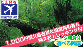 【屋久島】9-10月ＳＰ【松山発着】　縄文杉トレッキング付☆≪往復飛行機≫で行く屋久島　選べる民宿ステイ　(夕・朝食付)　2泊3日～3泊4日