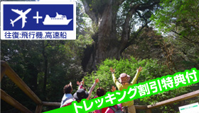 【屋久島】【9月18日・21日出発限定】高速船利用　今なら取れます！出発日限定の特別プラン♪屋久島民宿ステイ（食事無し）　3～5日
