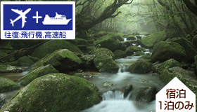【屋久島】【9月18日・21日出発限定】高速船利用　今なら取れます！出発日限定の特別プラン♪屋久島民宿ステイ（食事無し）1泊3日～5日