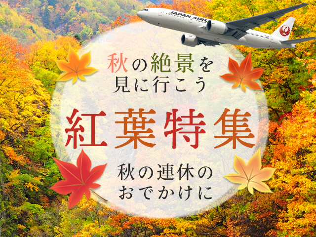 秋の紅葉特集