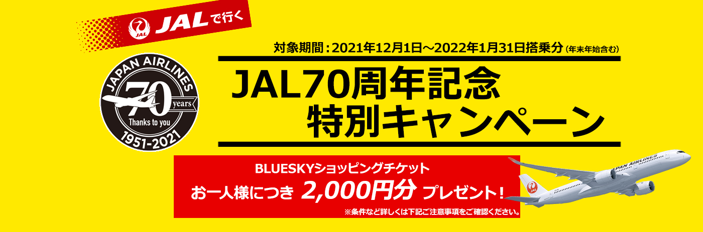 JALで行く 往復航空券+宿泊プランを自由に組み合わせ！あなただけのオーダーメイドツアー ダイナミックパッケージ（国内航空券+宿泊）