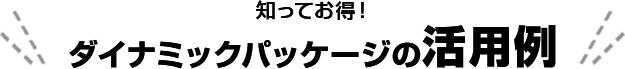 知ってお得！ダイナミックパッケージの活用例