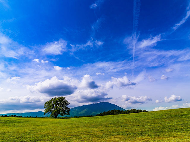 岩手旅行イメージ