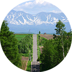 旭川・層雲峡ホテル一覧