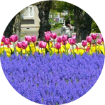 富良野・美瑛ホテル一覧