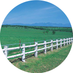 帯広・十勝ホテル一覧