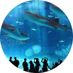 沖縄本島北部ホテル一覧