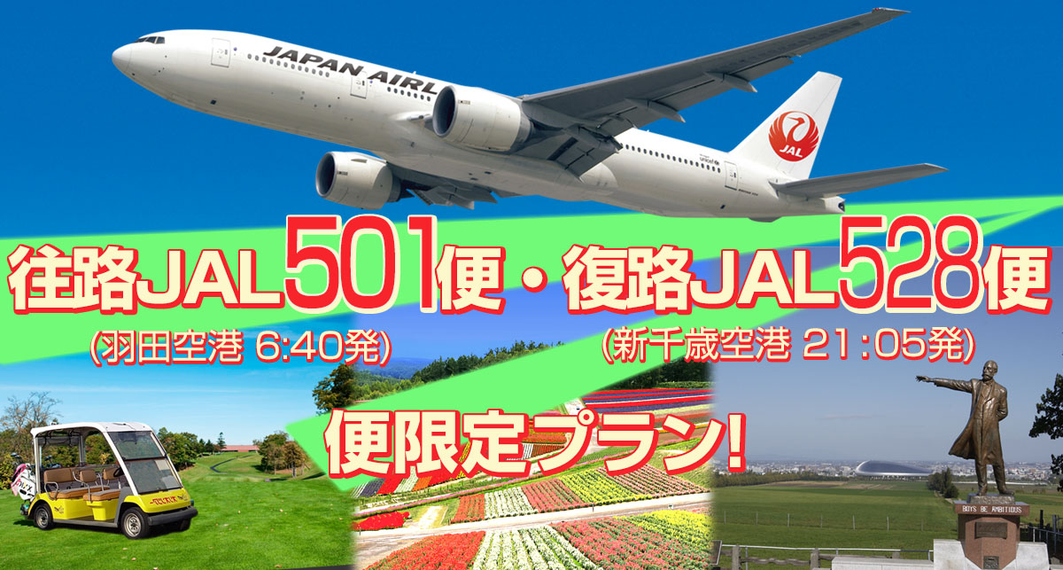 往路JAL501・503便(羽田空港6：40，7：30発)・復路JAL528便(新千歳空港21：05発)便限定プラン！