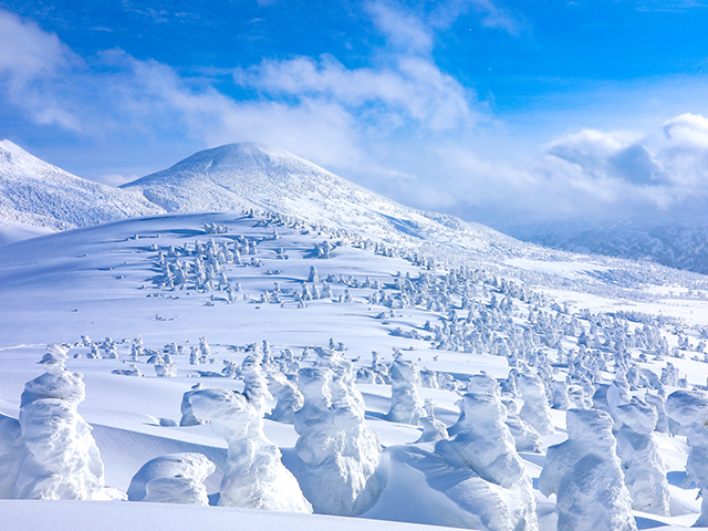 八甲田樹氷イメージ