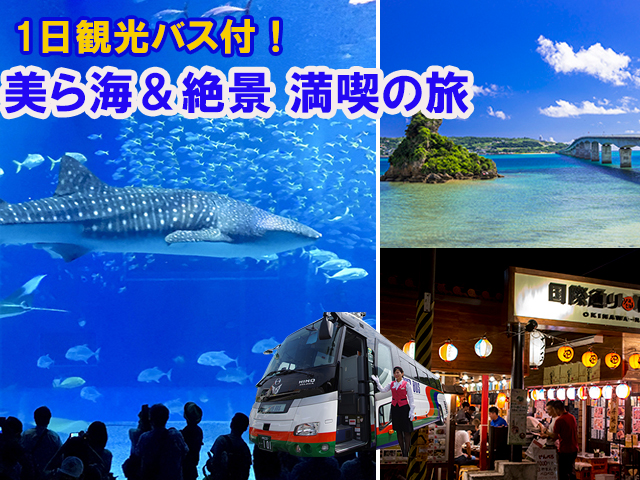 1日観光バスツアー付