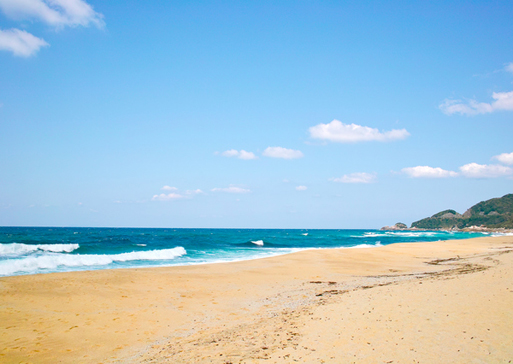 鹿児島県屋久島　永田いなか浜