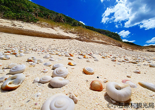 小笠原諸島2