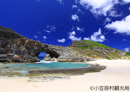 小笠原諸島4