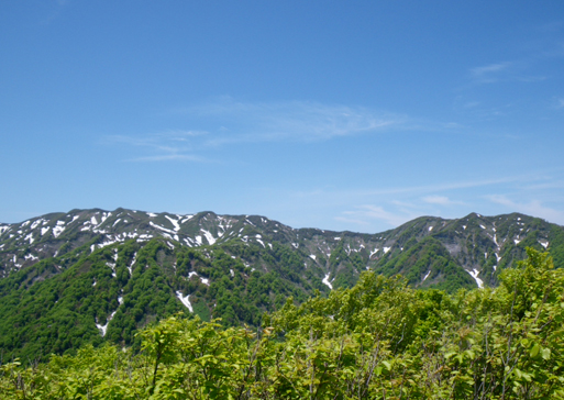 白神山地イメージ5