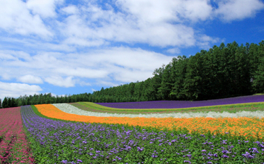 北海道イメージ