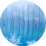 富良野・美瑛ホテル一覧