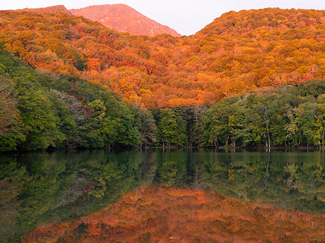 奥入瀬渓流・十和田エリア1泊2日モデルコースイメージ