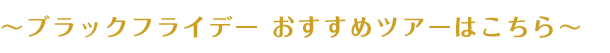 ブラックフライデー おすすめツアーはこちら