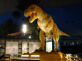 恐竜博物館入館券付