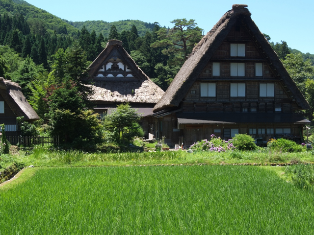 白川郷・チョイス