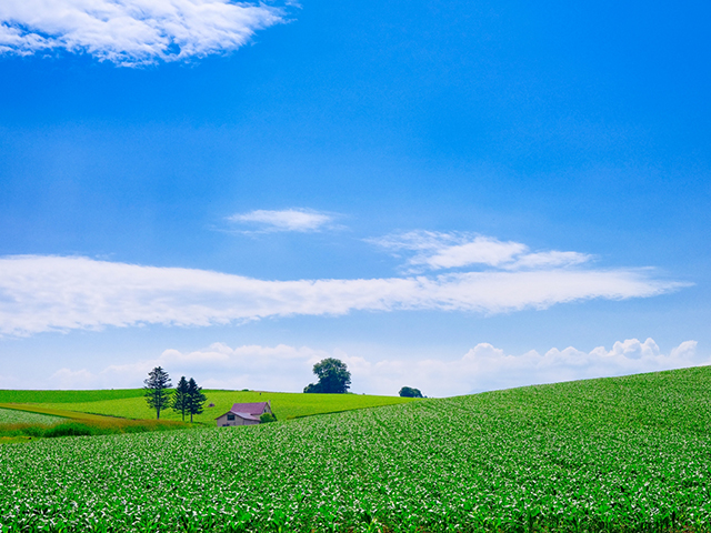北海道旅行イメージ