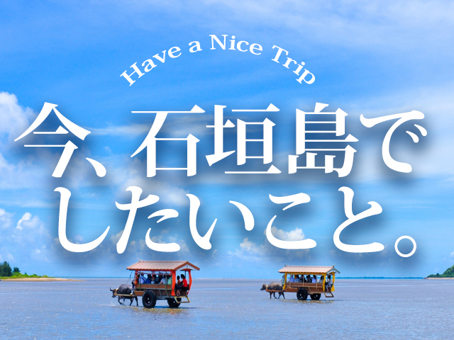 体験付きツアーin石垣島