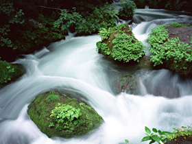 チョイスプラン