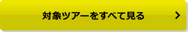 対象ツアーをすべて見る