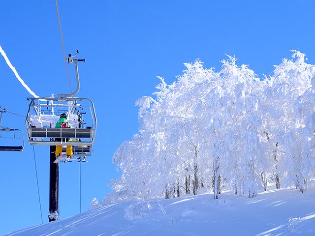 スキージャム勝山