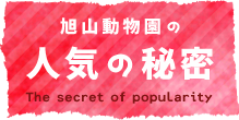 旭山動物園の人気の秘密