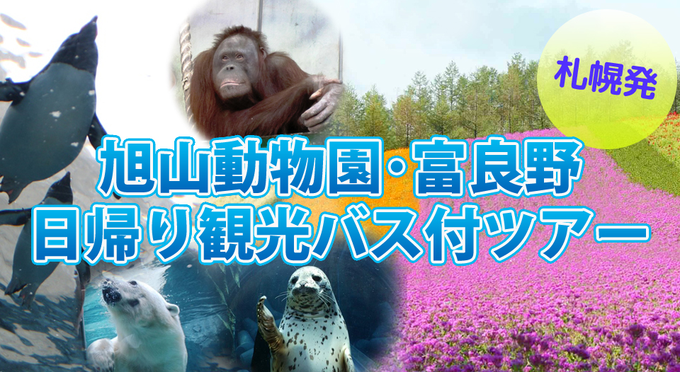 美瑛青い池＆旭山動物園号付ツアー