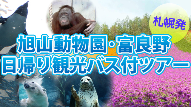 旭山動物園・富良野日帰り観光バス付ツアー