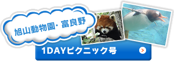 旭山動物園・富良野｜1DAYピクニック号