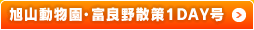 旭山動物園・富良野散策1DAY号