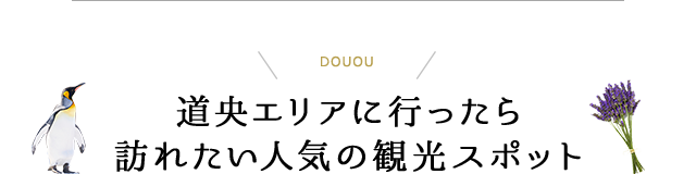 道央エリアに行ったら訪れたい人気の観光スポット