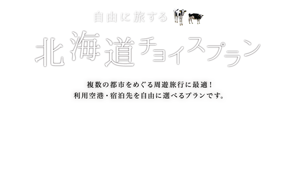 自由に旅する 北海道チョイスプラン 複数の都市をめぐる周遊旅行に最適！ 利用空港・宿泊先を自由に選べるプランです。