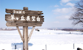冬画像
