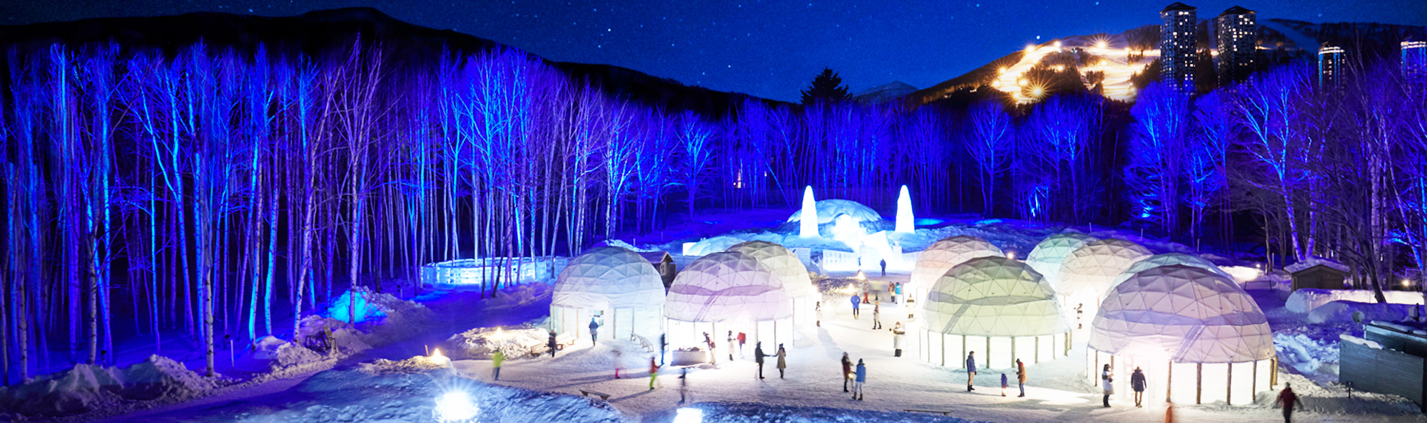 道 央 旭川・富良野・美瑛・トマム・洞爺・登別・ニセコ・ルスツ