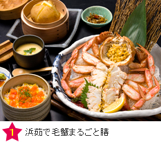 浜茹で毛蟹まるごと膳