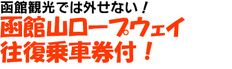 函館山ロープウェイ往復乗車券付