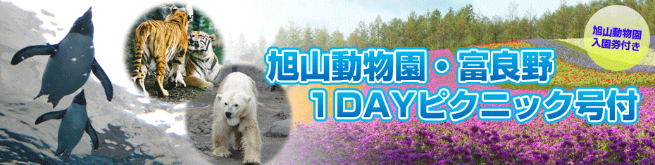 北海道旅行　北海道ツアー　旭山動物園日帰りバス付｜オリオンツアー