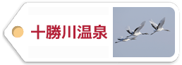十勝川温泉