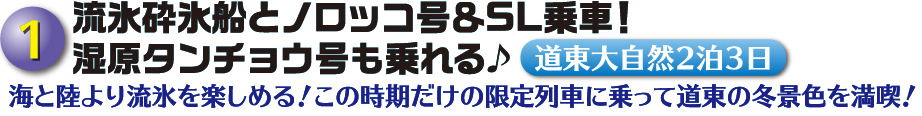 流氷砕氷船とノロッコ号＆SL乗車！湿原タンチョウ号も乗れる♪