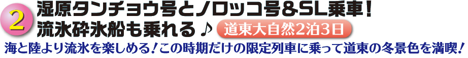 湿原タンチョウ号とノロッコ号＆SL乗車！流氷砕氷船も乗れる♪