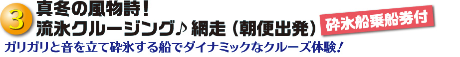 真冬の風物詩！流氷クルージング♪網走（朝便出発）