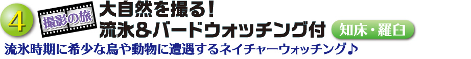 大自然を撮る！流氷＆バードウォッチング付